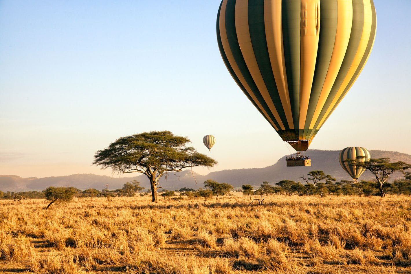 1-serengeti-national-park-tanzania-timbuktu-travel-10